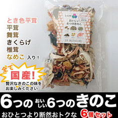 【６つの『おいしい６つのきのこ』】ややこしくてごめんなさい、だけどお得な6個セット_全て国産_とき色平茸、平茸、舞茸、きくらげ、椎茸、なめこ入り